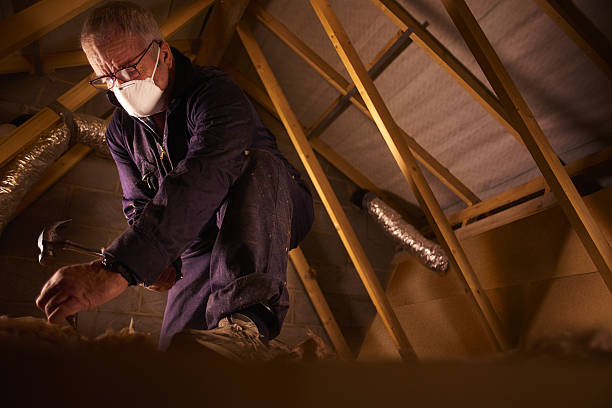Best Commercial Insulation Contractor  in Pearsall, TX